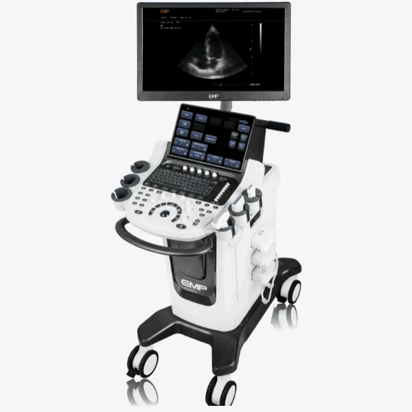 Échographe EMP G71 avec écran large 21,5/23,8 pouces, idéal pour les diagnostics cardiaques et gynécologiques.
